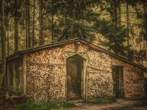 forest hut log cabin