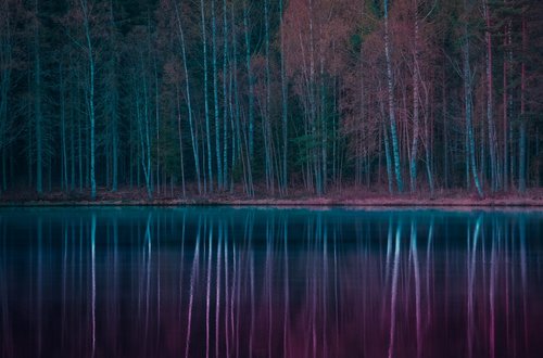 forest  lake  autumn