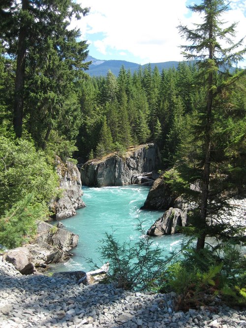 forest  mountains  river