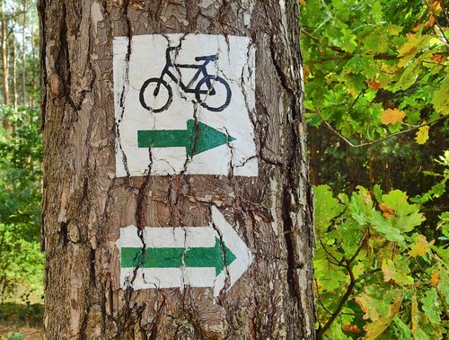 forest  cycle route  tourism