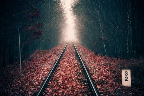 forest  tracks  railway