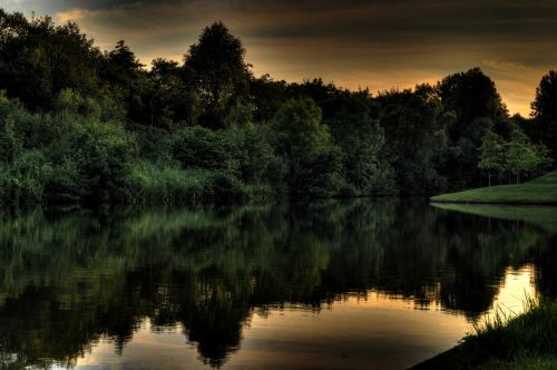 forest shore lake