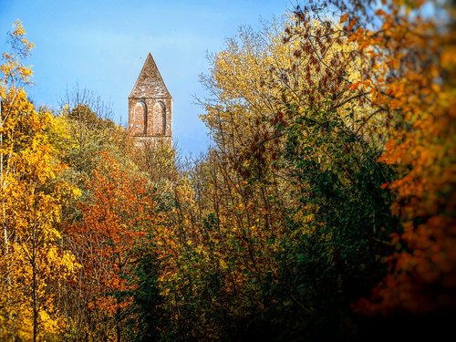 forest  autumn  steeple
