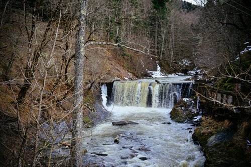 forest  mountains  waterfall