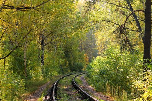 forest  railway  twist