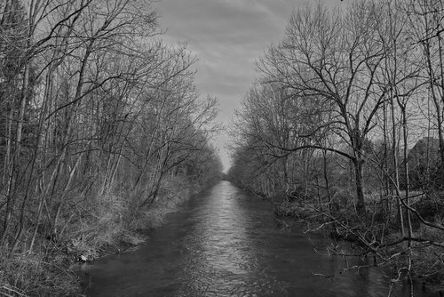 forest  river  water