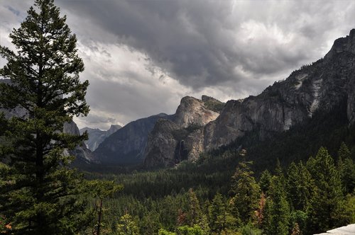 forest  mountains  trees