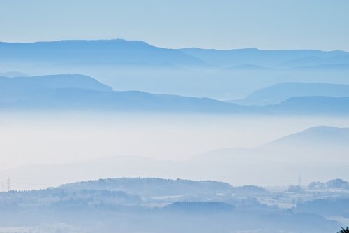 forest  landscape  fog