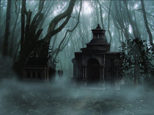 forest  haunted  mystical