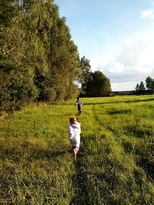 forest meadow grass