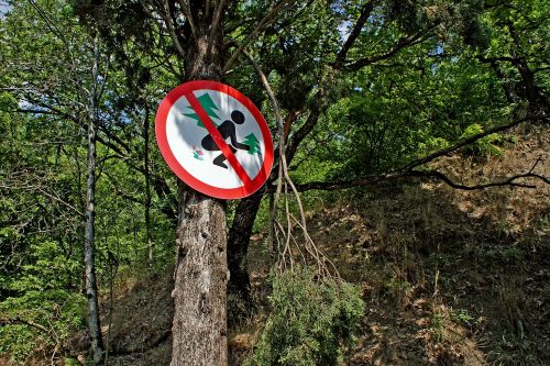 forest sign ukraine