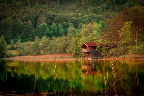 forest lake mountains