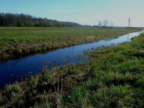 forest river spring