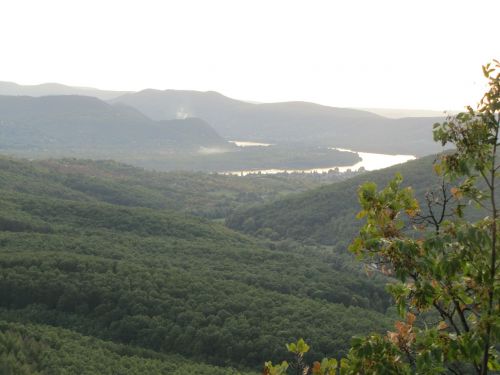 forest river danube