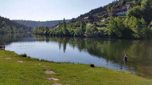 forest lake nature