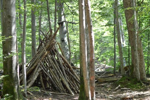 forest pyramid hut