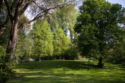 forest park landscape