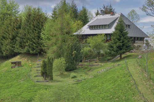 forest house  black forest  school