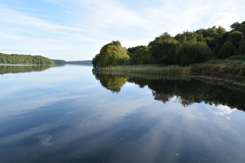 forest lake water trees