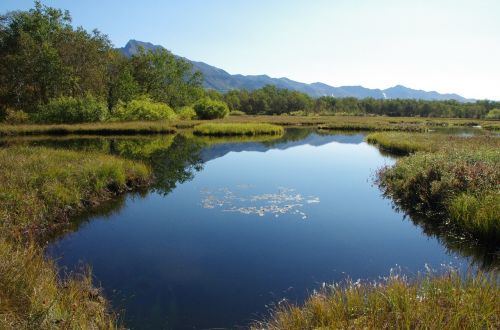 forest lake mountains forest