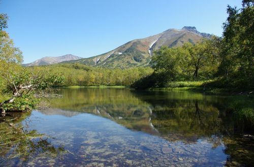 forest lake mountains forest