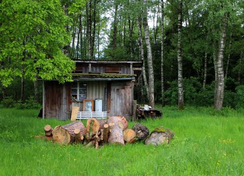 forest lodge hut log cabin