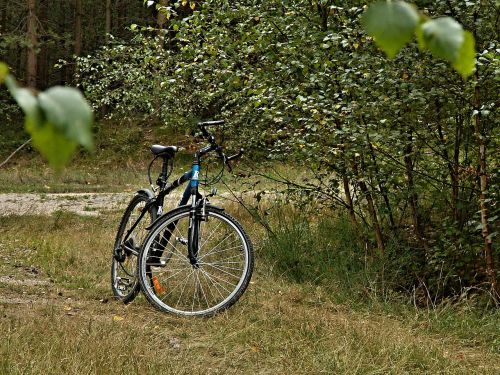 forest road round cycling