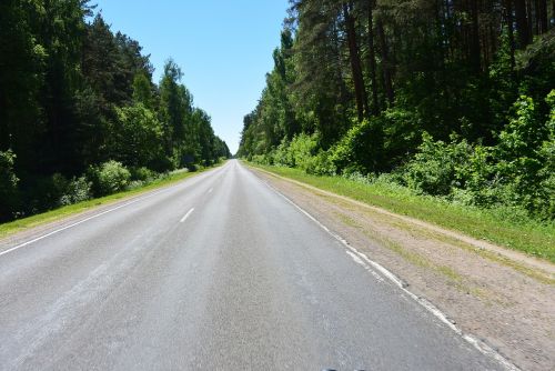 forest road asphalt photo