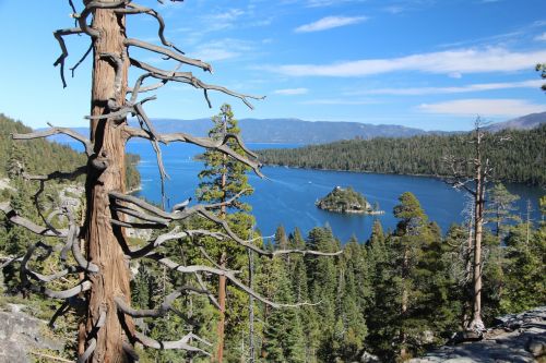 forest views lake tahoe emerald bay