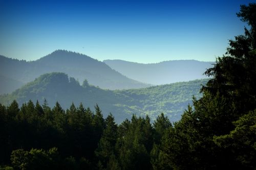 forests mountains nature