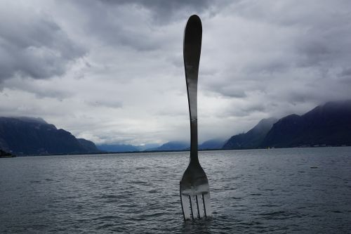 fork lake trueb