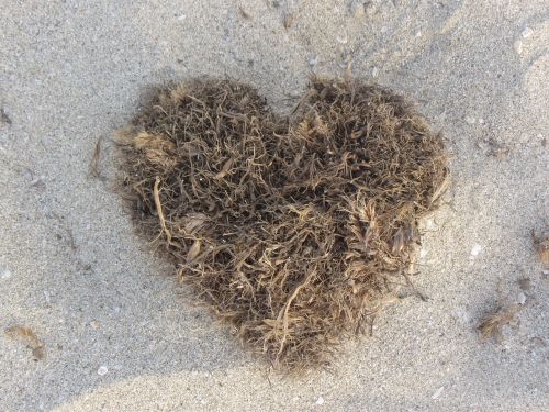 formentera beach heart