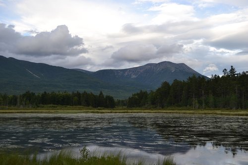 forrest  mountains  pond
