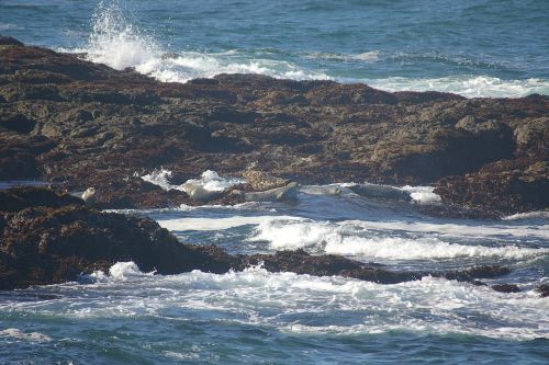 fort bragg ocean rocks