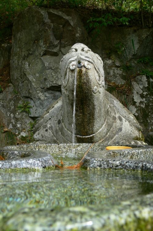 fountain stone turtle