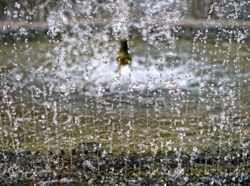 fountain drop droplet