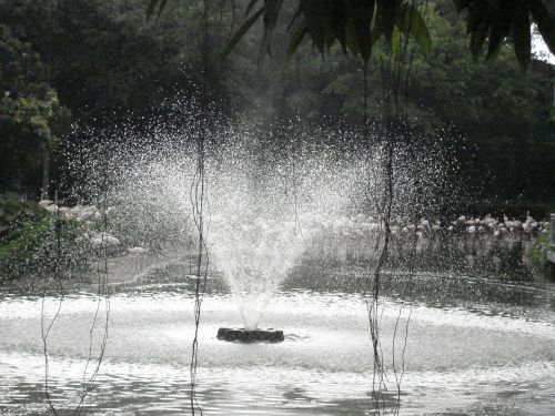 fountain spray aqua