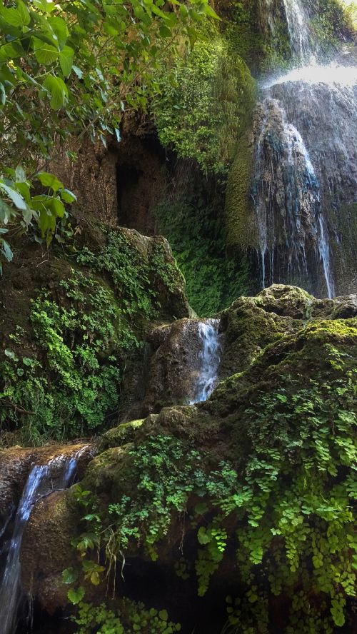 fountain of life