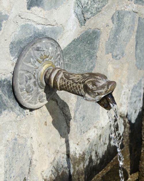 fountain bronze snake head