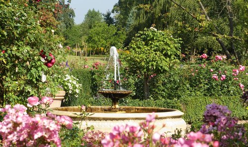 fountain  garden  flowers