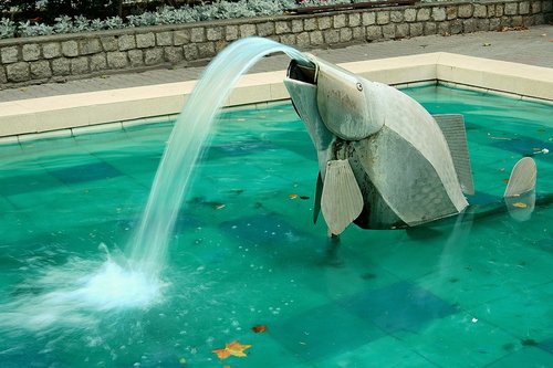 fountain  fish  water