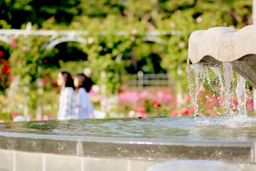 fountain  may  water