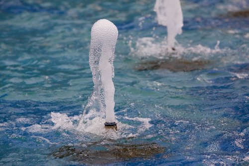 fountain  water  gargoyle