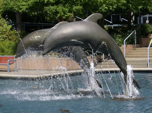 fountain dolphin statue