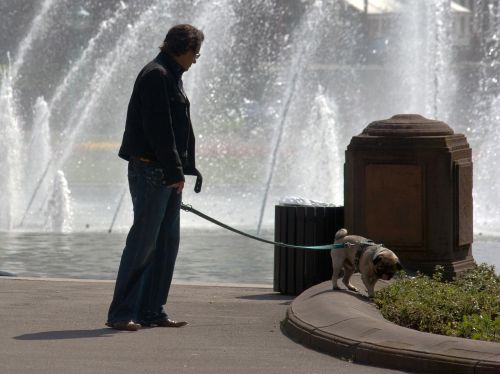 fountain human dog