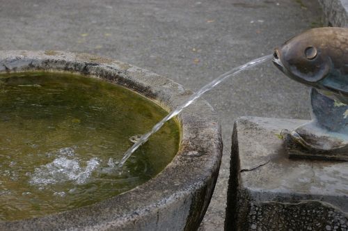 fountain water splash