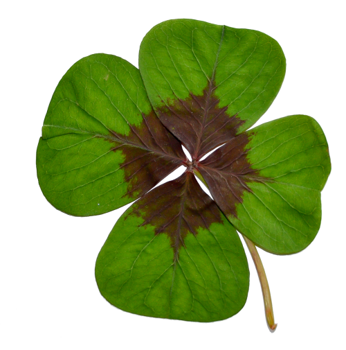 four-leaf clover luck green