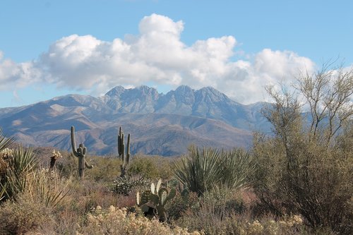 four peeks  arizona  mountain