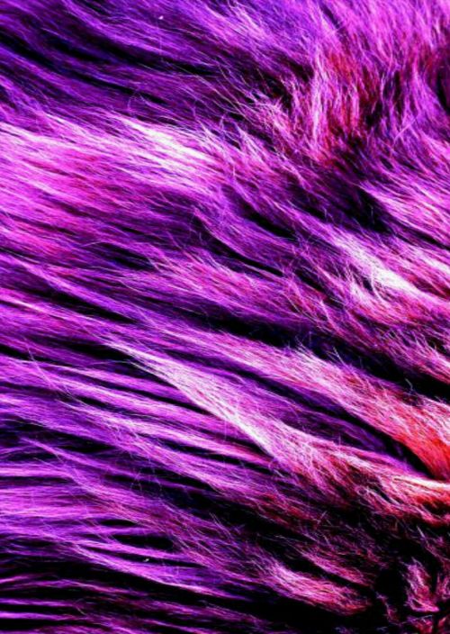 foux fur purple