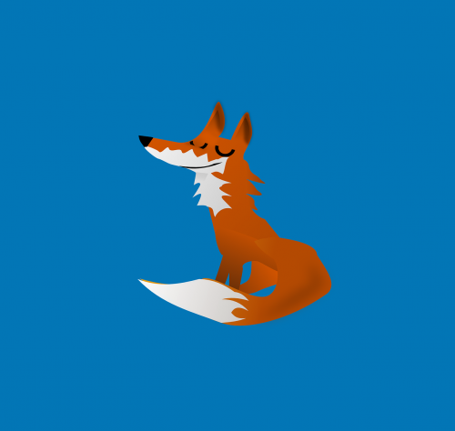 fox happy animal